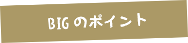 BIGのポイント